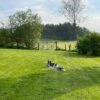 Dog friendly Holidays, Basel Cottage, Dog Friendly, Warm and Cosy, Llandovery, Holiday Cottage, Award-winning, Dogs stay free,