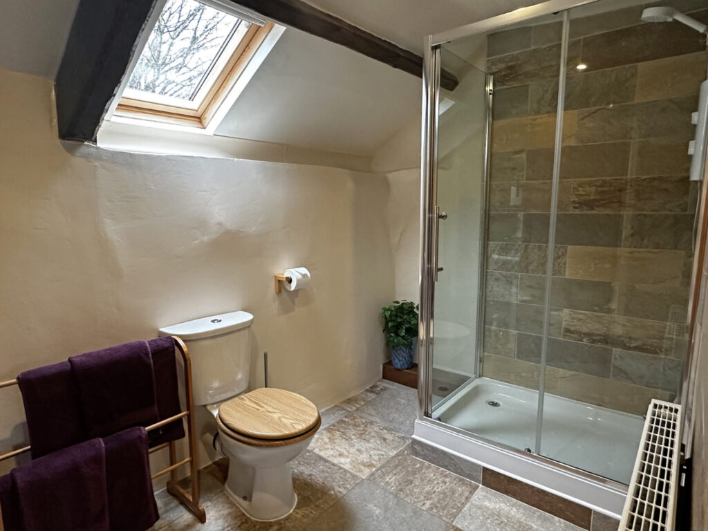 En-suite Bathroom, Walk-in Shower, Country Cottage, Rural Retreat, Basel Cottage, Brecon Beacons, Llandovery, Carmarthenshire, Wales, Self-Catering Holiday Cottage