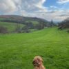 Dog friendly Holidays, Basel Cottage, Dog Friendly, Warm and Cosy, Llandovery, Holiday Cottage, Award-winning, Dogs stay free,